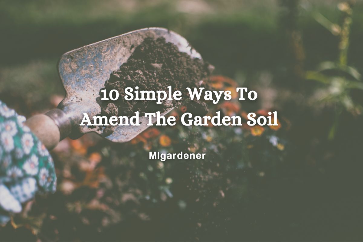 10 Easy Tips For Using Straw Mulch In The Garden - From Soil to Soul