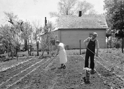 Life of a Gardener in 1934 - A Memoir