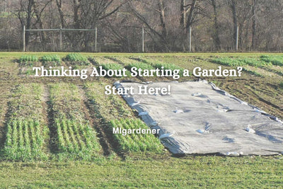 Thinking About Starting a Garden? Start Here!