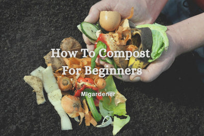 How to Compost for Beginners - Save money & Create FREE Fertilizer!
