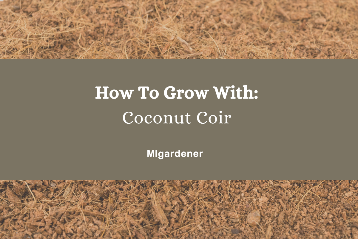 Coconut Coir: What It Is And Which To Get - Epic Gardening