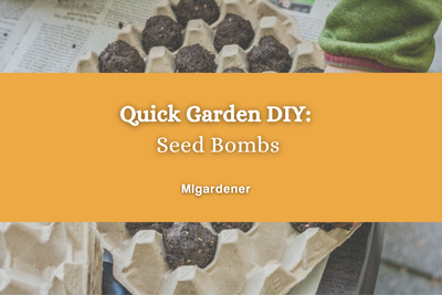 Quick Garden DIY : Seed Bombs