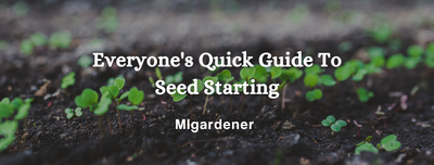 Everyone's Quick Guide To Seed Starting