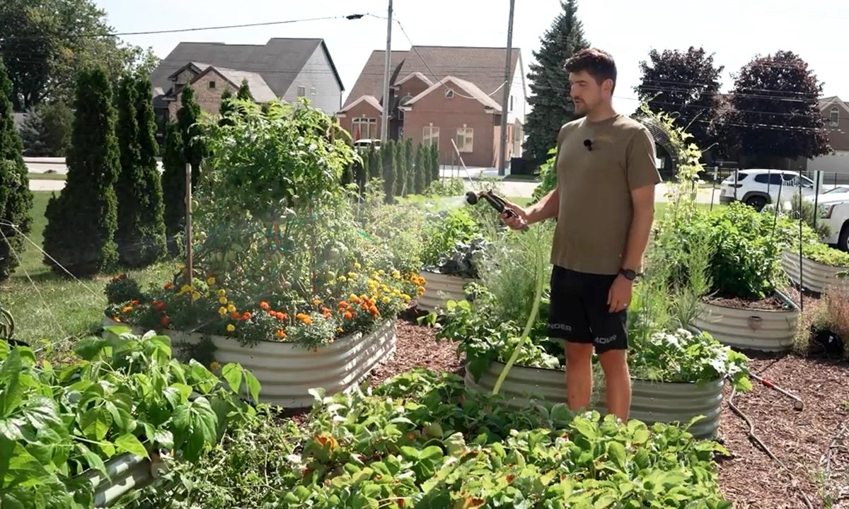 How to Water a Garden: Next Level Watering Techniques – MIgardener