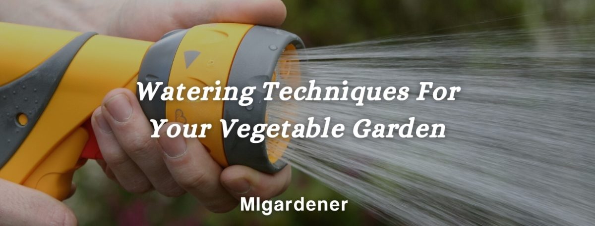 Here's The Right Way To Water Your Garden – MIgardener