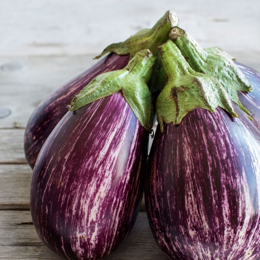 eggplantページ 2467-1.jpg