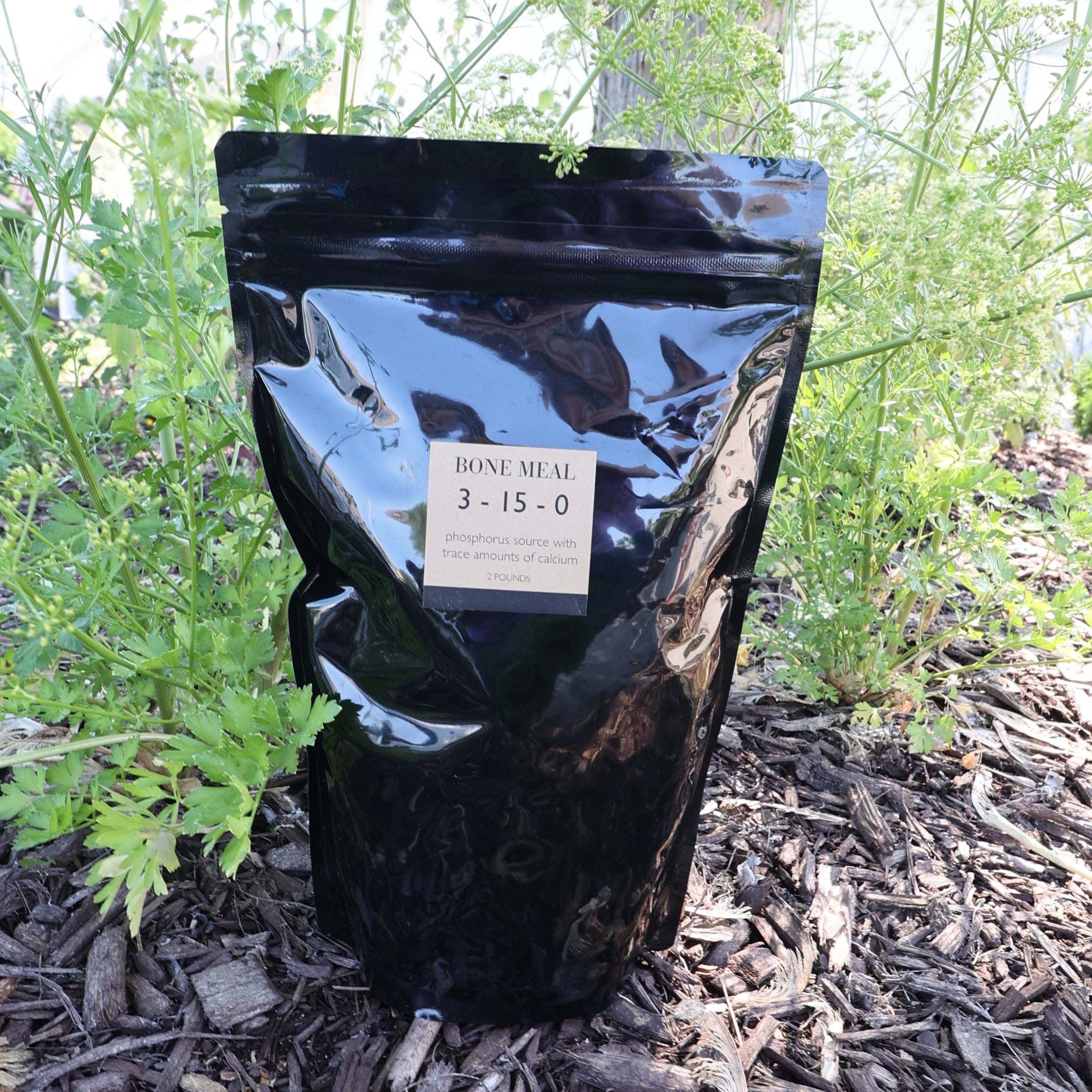 Bone Meal