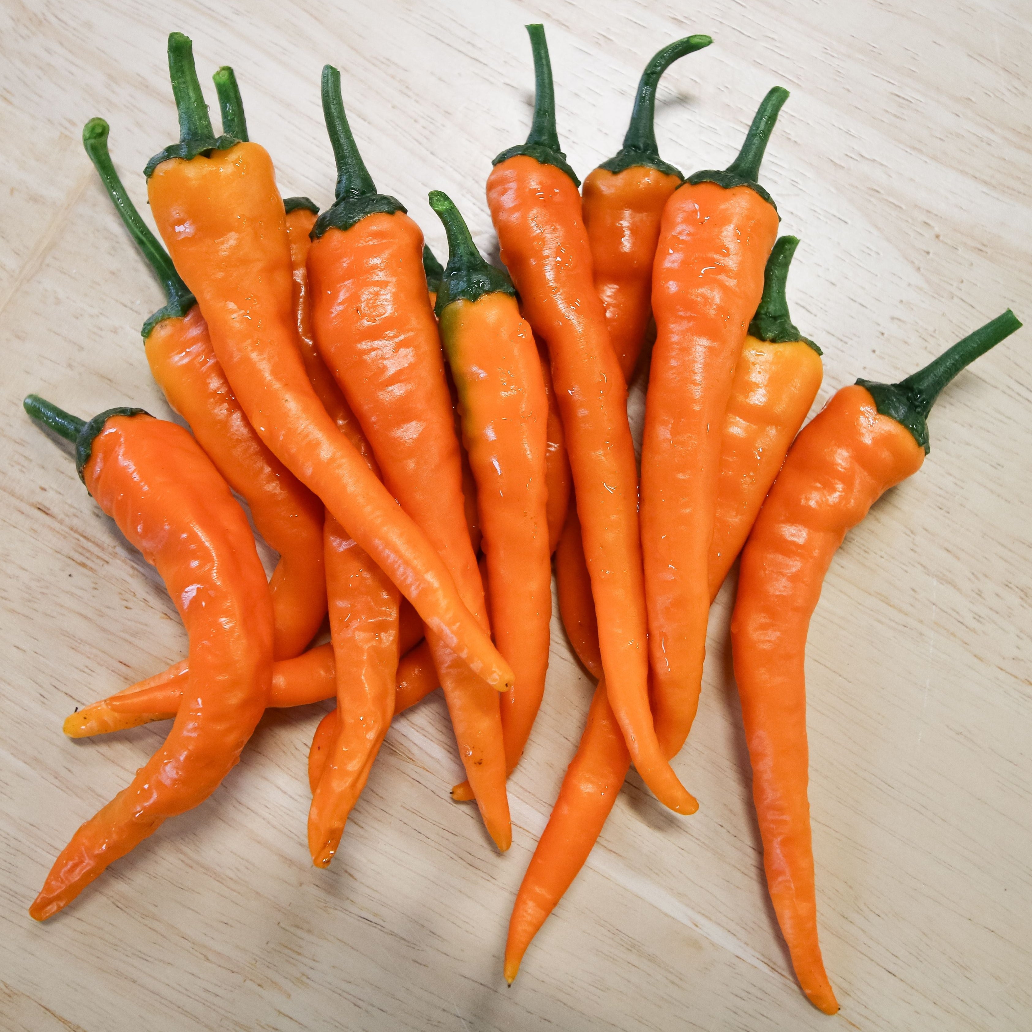 Orange Cayenne Pepper – MIgardener
