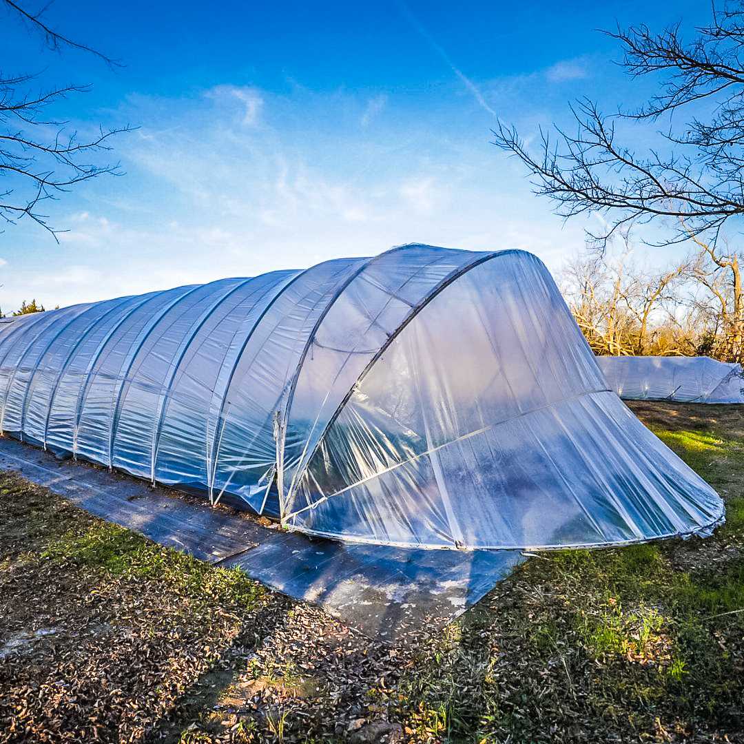 All-Metal Caterpillar Tunnel Kit – MIgardener