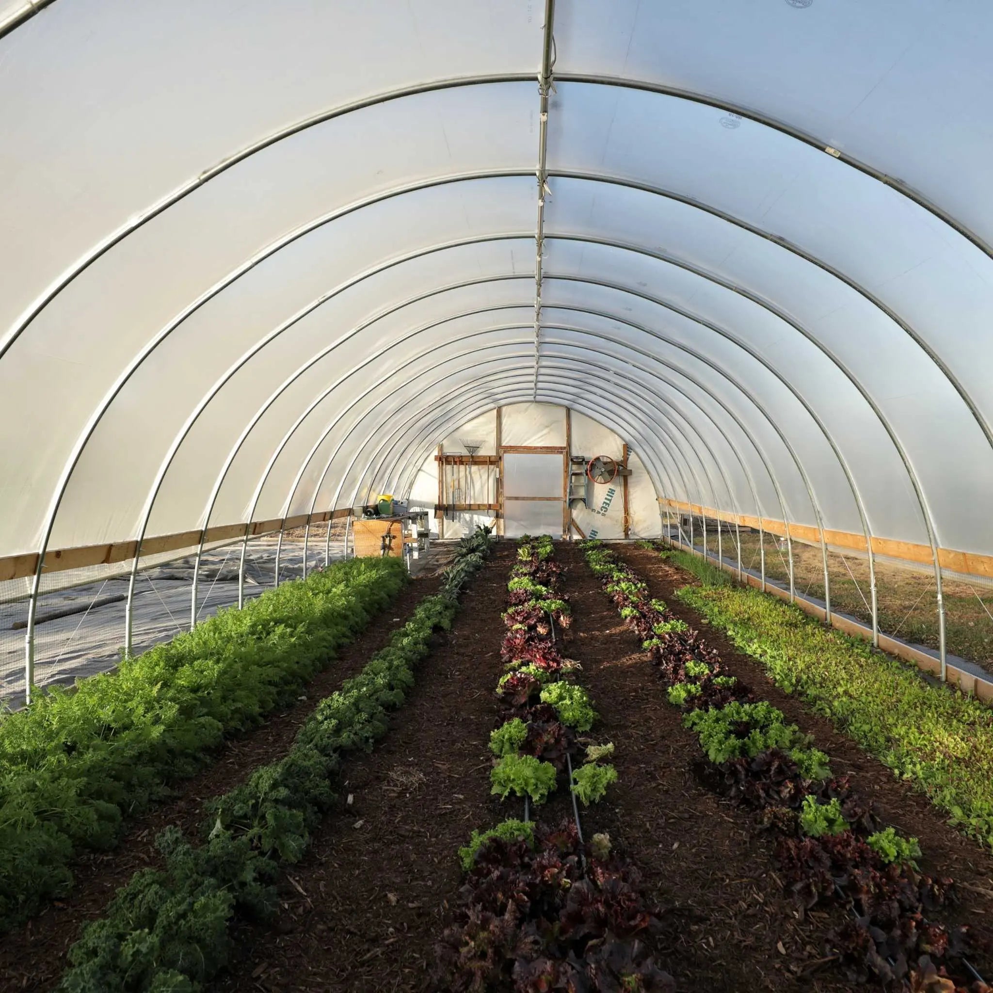 hoop house plants DIY Greenhouse Kit