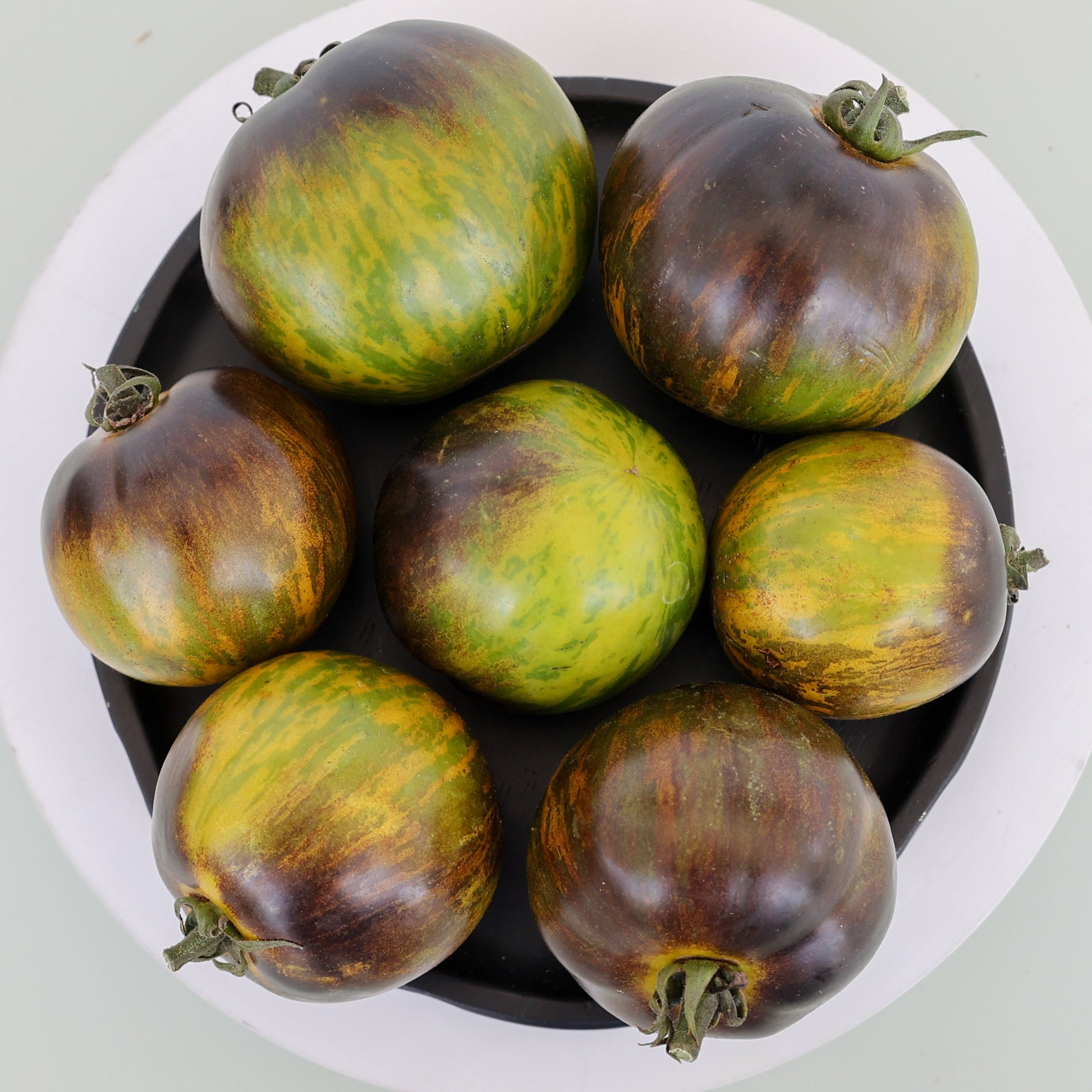 Emerald City Tomato – MIgardener