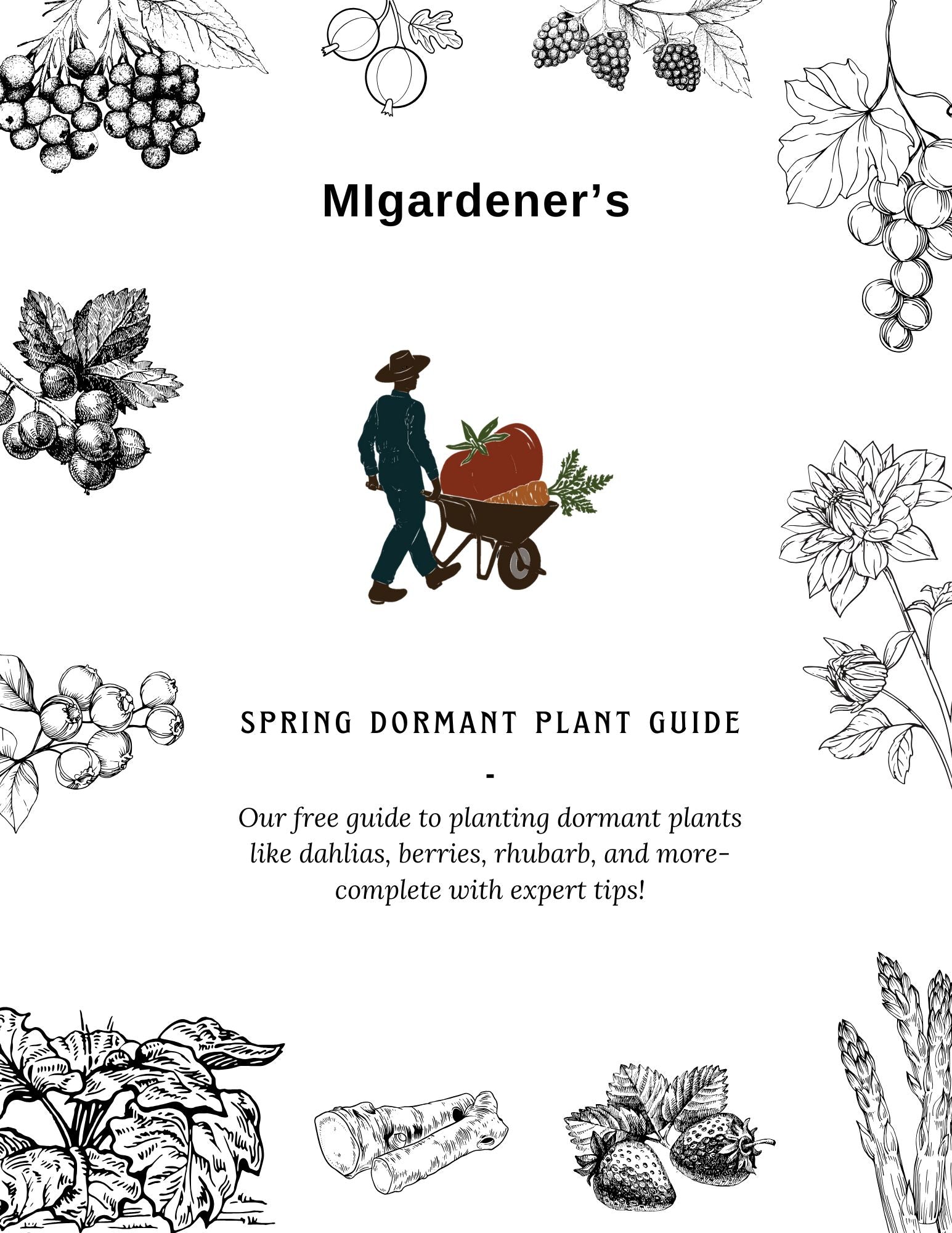 MIgardener's Planting Guide For Dormant Spring Plants MIgardener