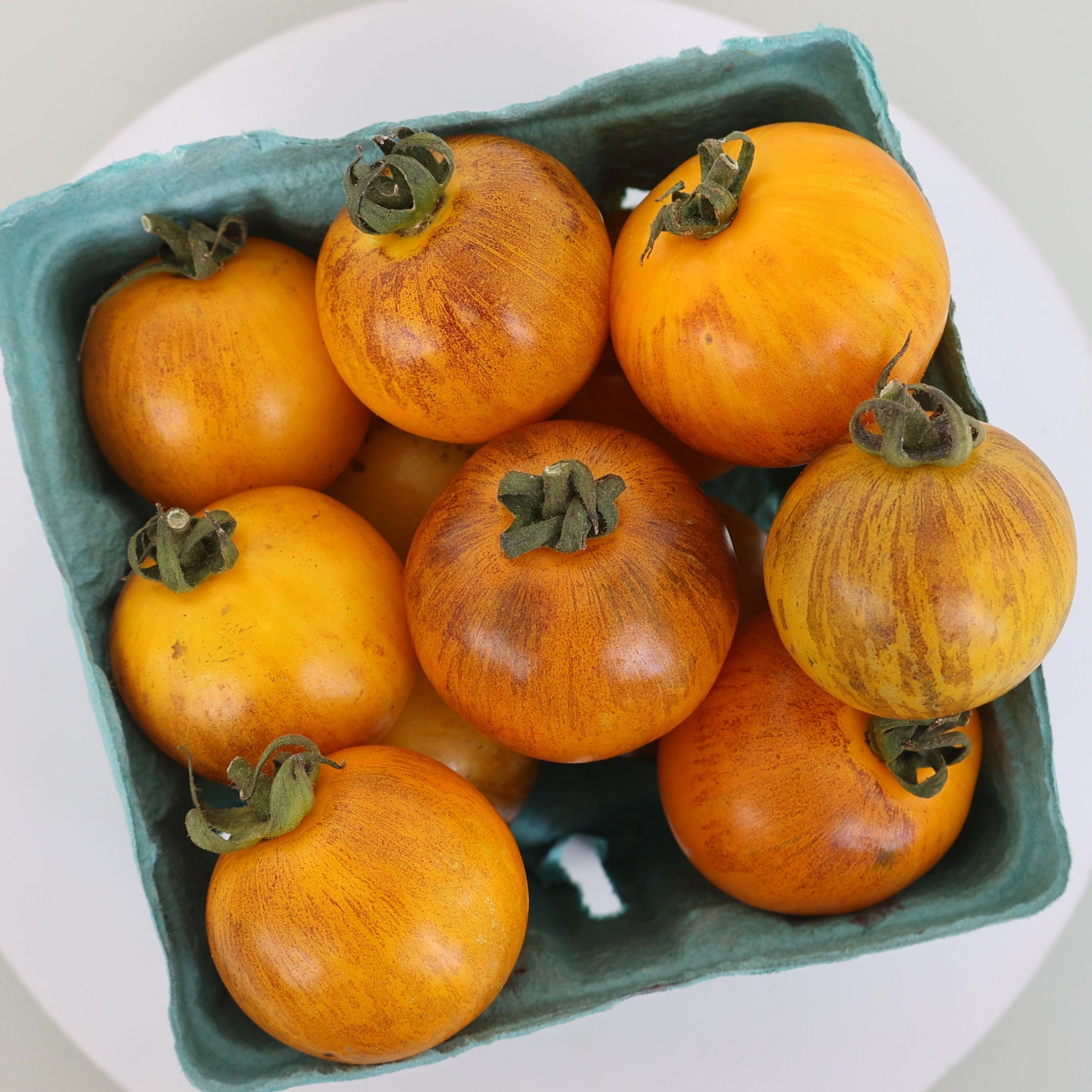 Gold Zebra Tomato – MIgardener