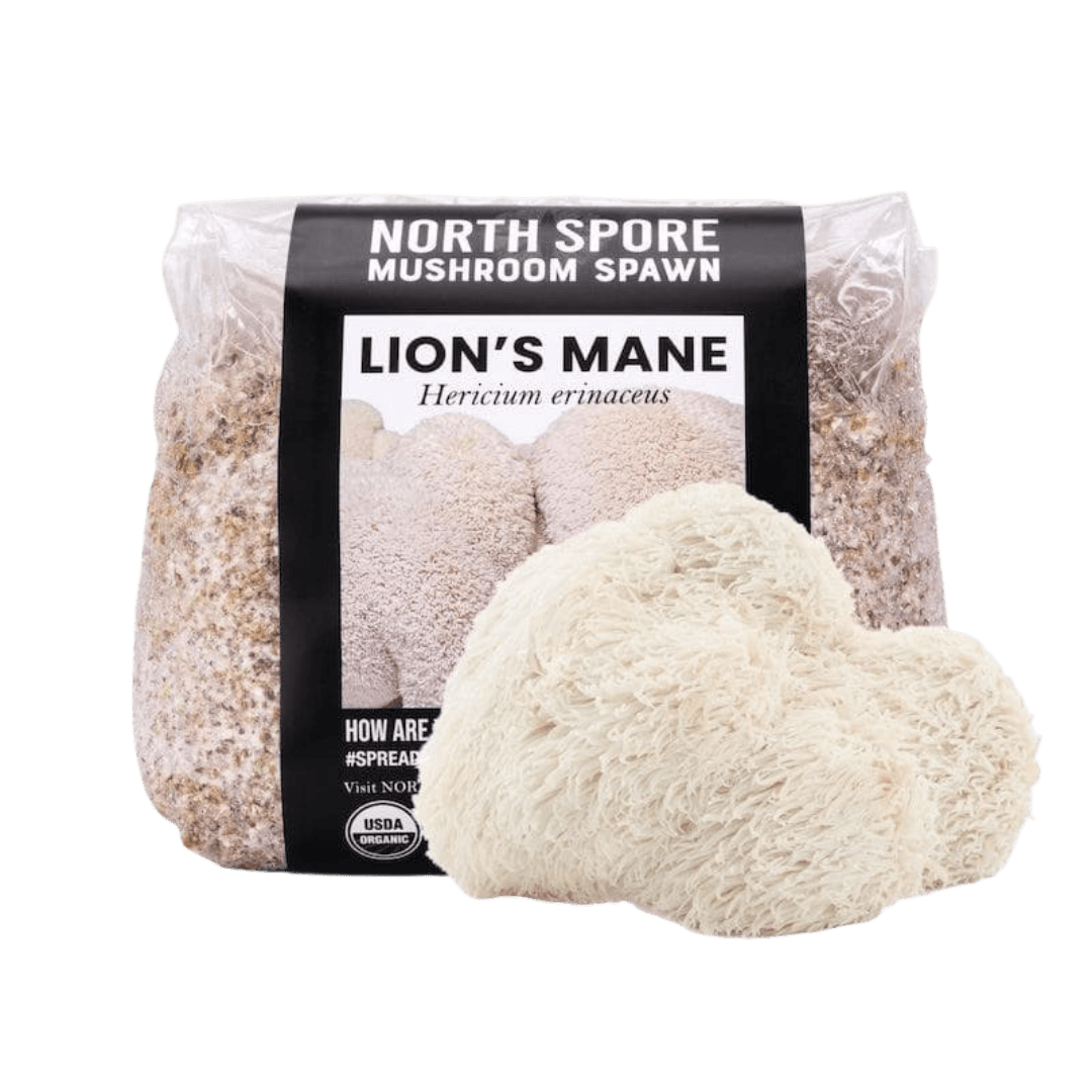 Organic Lion&