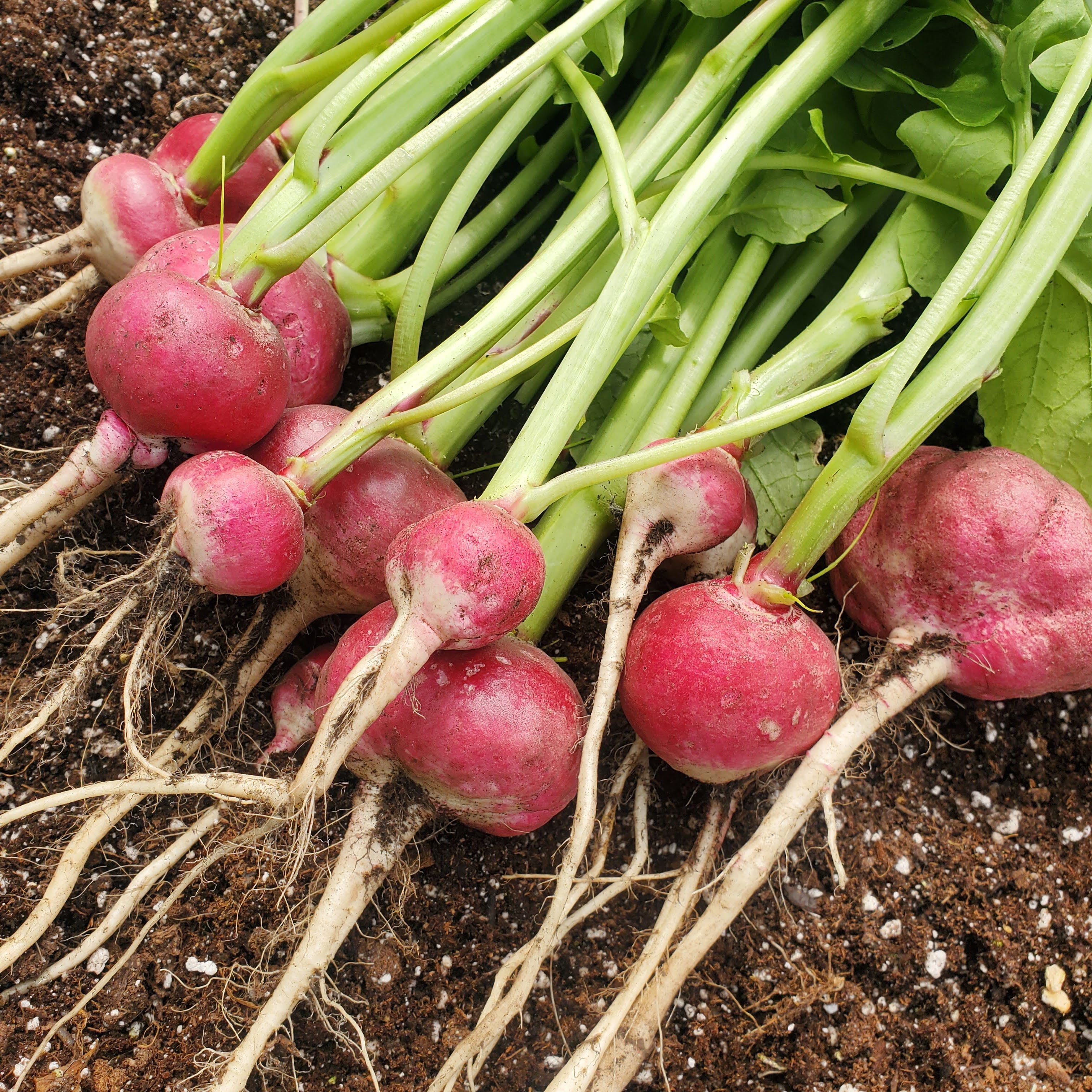 uOW86vFk.jpg?v=1754502793