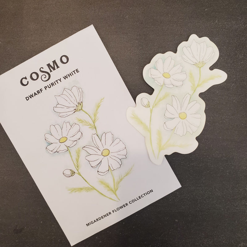 White Cosmo Illustration Sticker