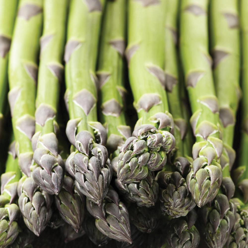 asparagus seeds from plant Asparagus Mary Washington Seed – MIgardener