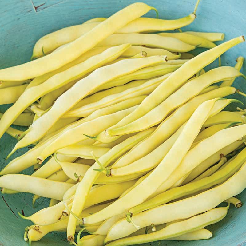 Premium Photo  Tabletop view - yellow string (wax) beans on white boards.