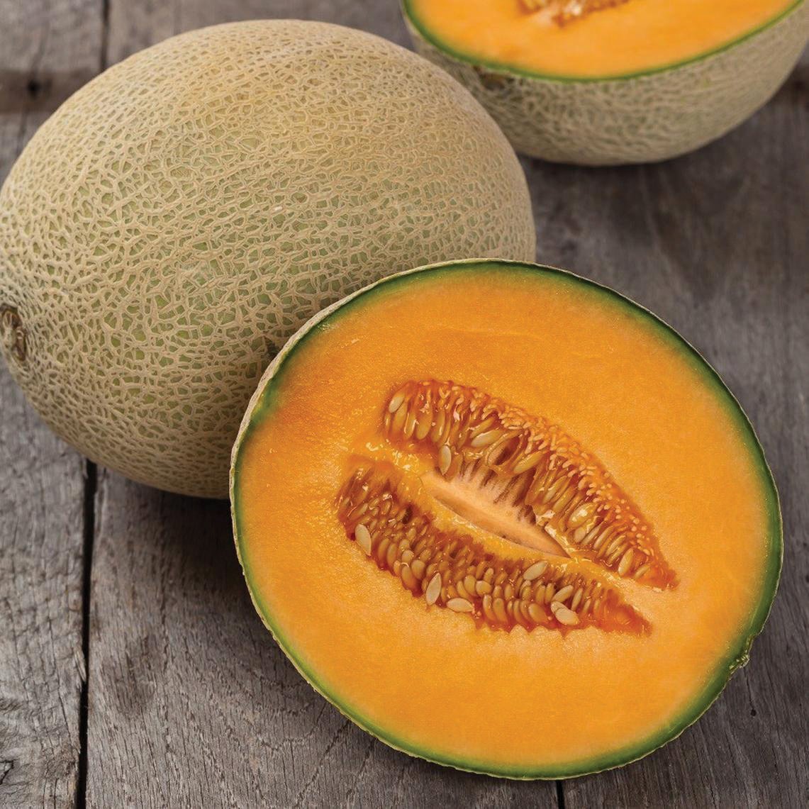 Hales Best Jumbo Cantaloupe Melon – MIgardener