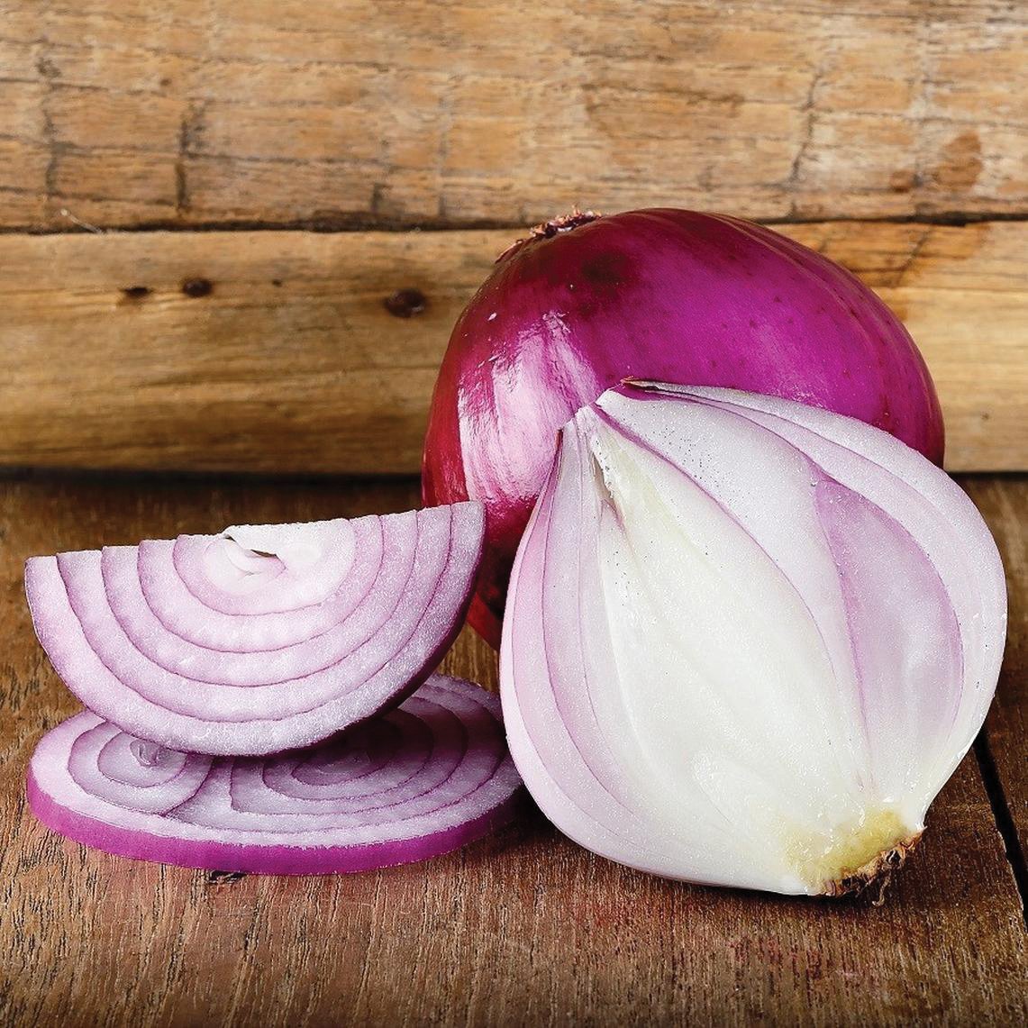 Red Burgundy Onion – MIgardener