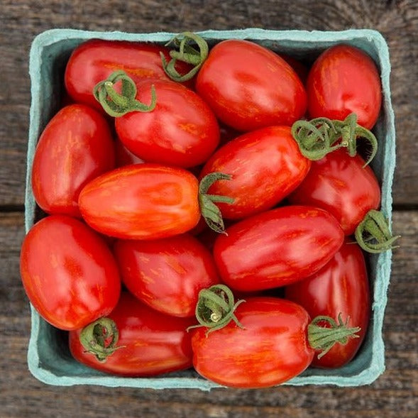 Supernova Grape Tomato – MIgardener
