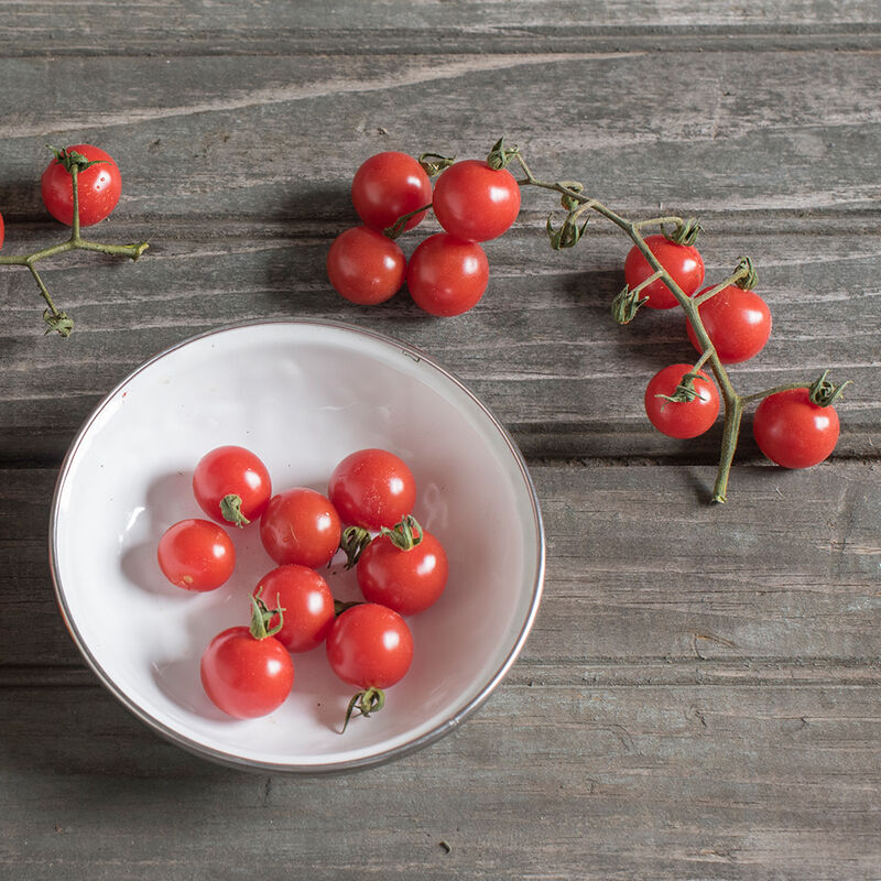 Matt's Wild Cherry Tomato – MIgardener