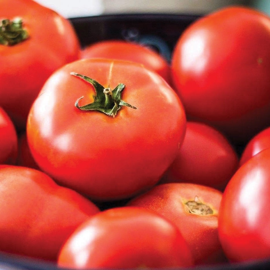 Tomato  TOM56-