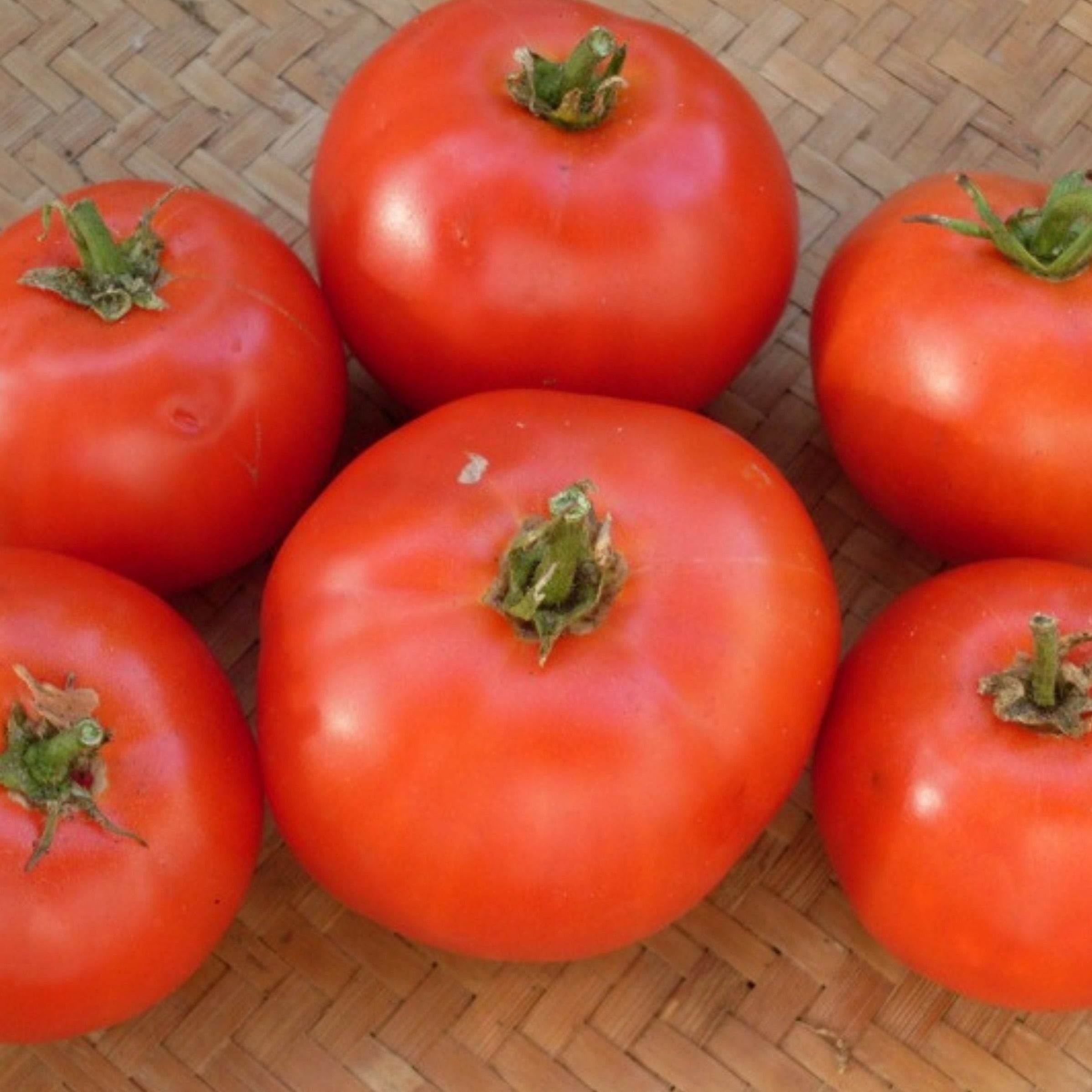 tomato Fresh Squeezed Canned Tomato Juice 46 oz - Red Gold Tomatoes