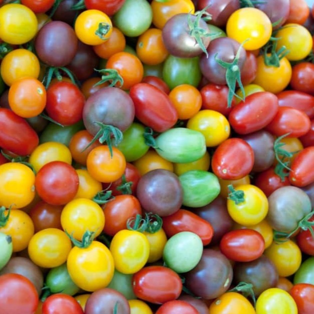 Cherry-licious Mix Tomatoes – MIgardener