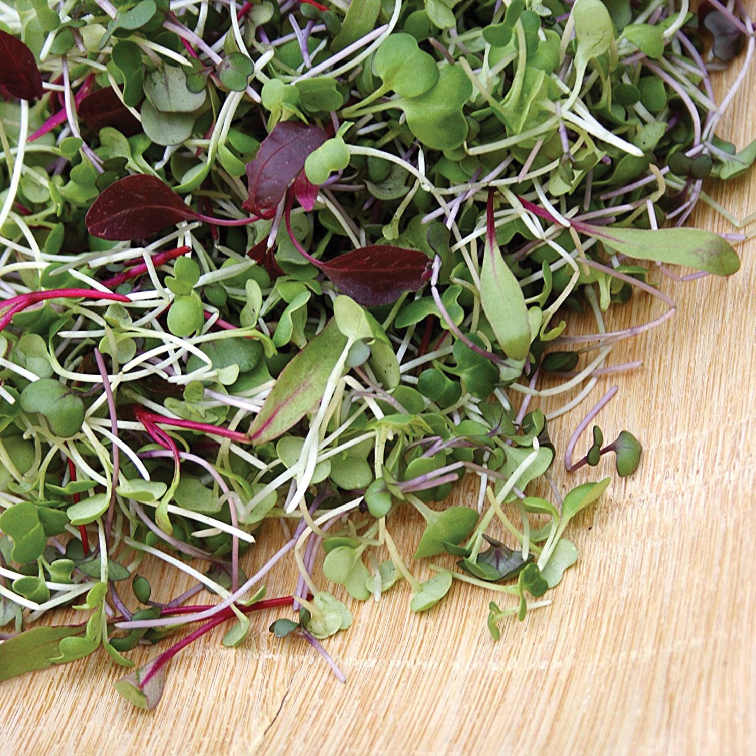 Microgreen Week CSA Sessions Available May September ** (Pickup At Your  Local Drop), Watercress In Urdu