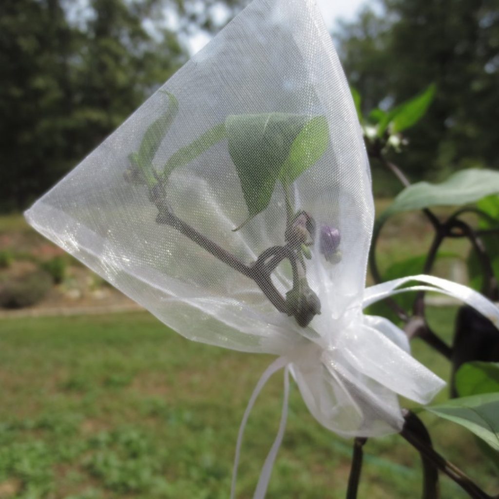 hanging bags for plants Blossom Bags (5 Count) – MIgardener