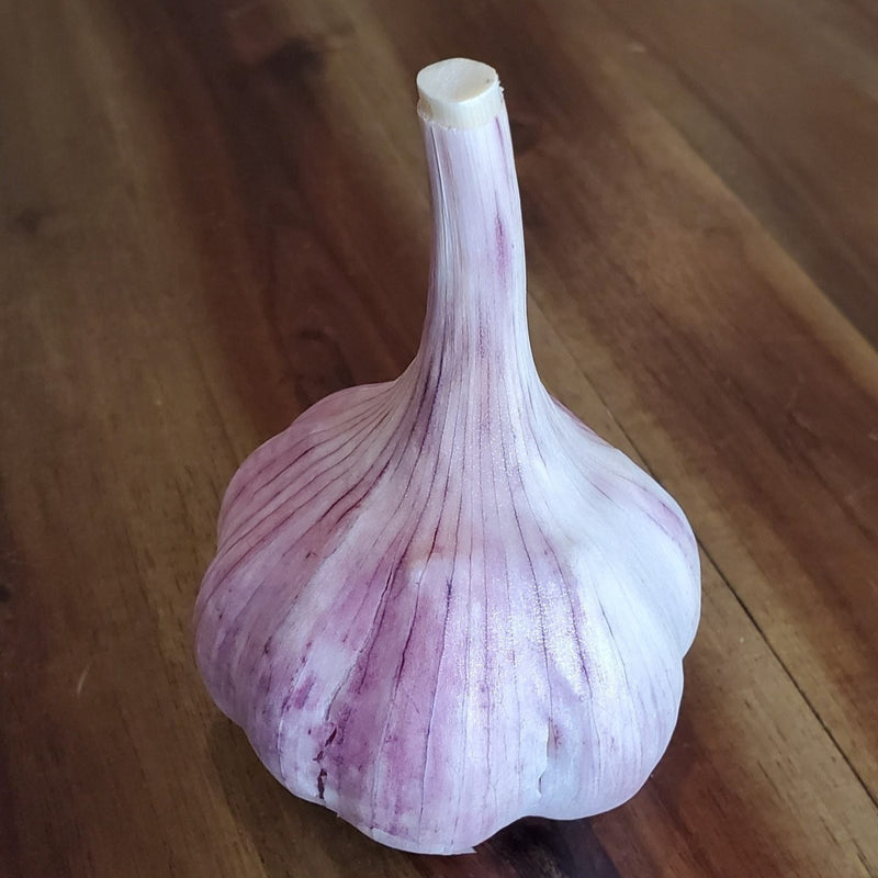 Duganski (Hardneck) Garlic