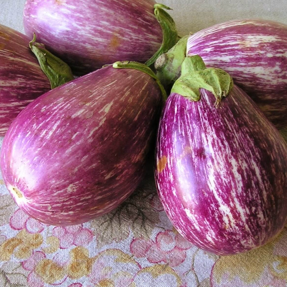 How To Cook Listada Eggplant how-to-cook-listada-eggplant