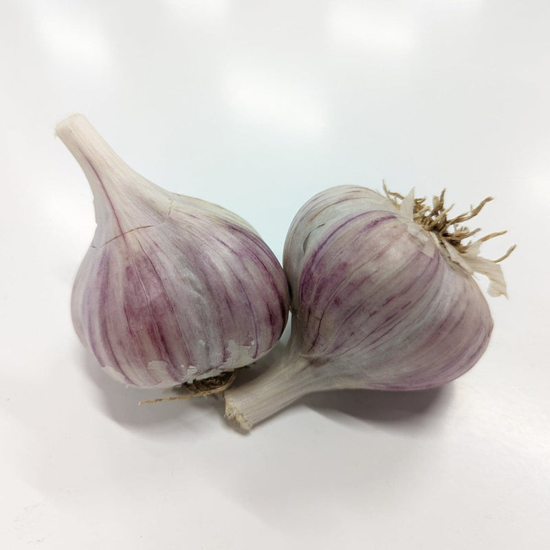 Northern White (Hardneck) Garlic