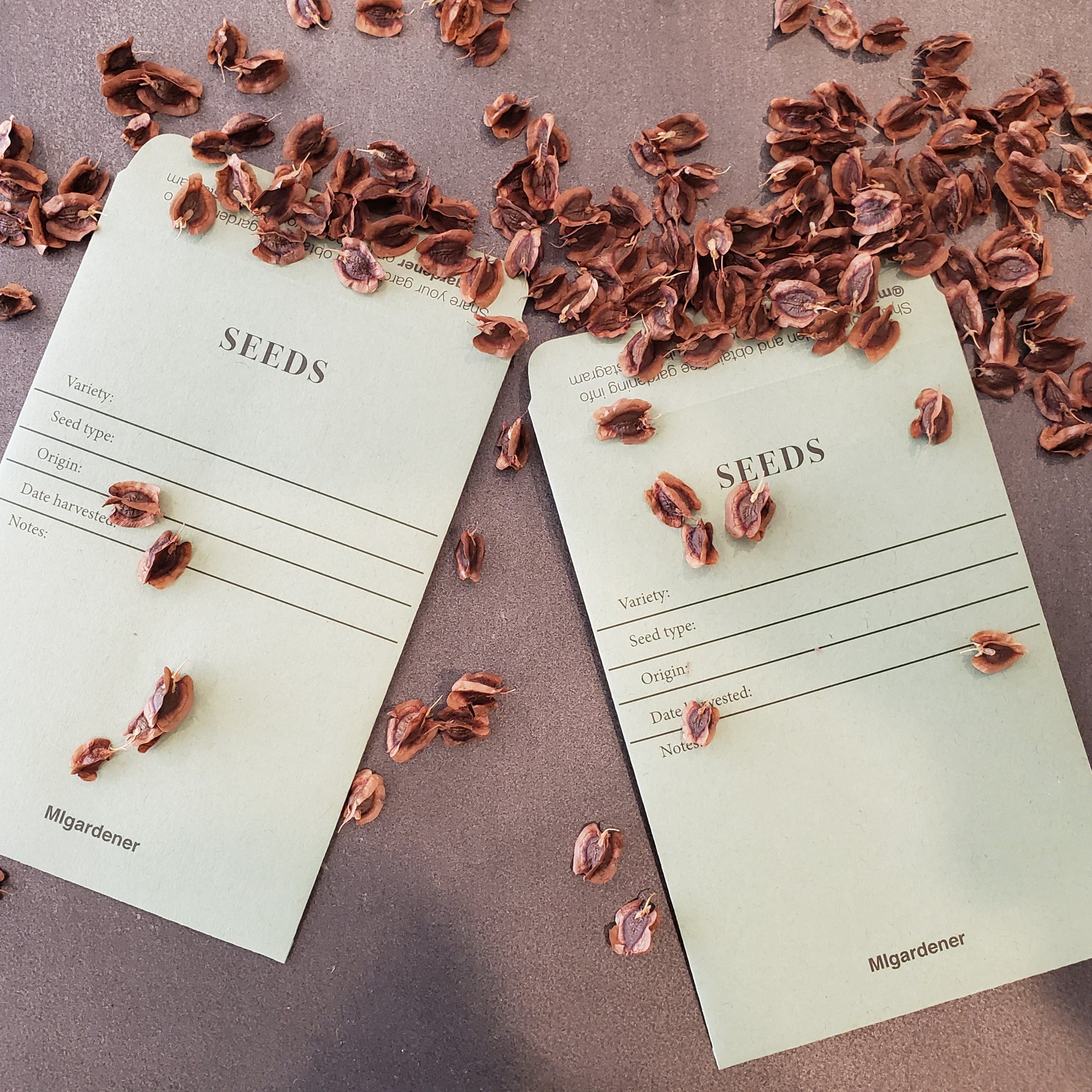 garden seed envelopes Seed Saver Packets (12 ct) – MIgardener