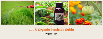MIgardener's Guide To 100% Organic Pesticides