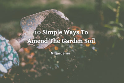 10 Simple Ways to Amend Soil