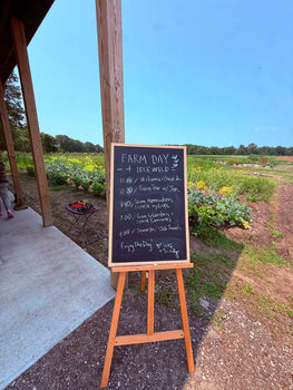 2nd Annual MIgardener Farm Day at Idlewild Orchard