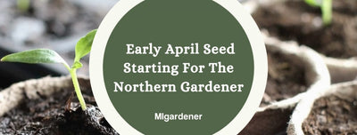 Seeds Every Northern Gardener Should Start In Early April