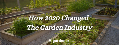 For Better Or Worse: How 2020 Changed The Garden