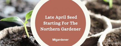 Seeds Every Northern Gardener Should Start In Late April
