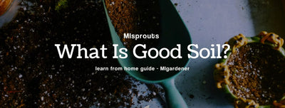 MIsprouts Learn: What Is Good Soil?