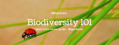 MIsprouts Learn: What Is Biodiversity?