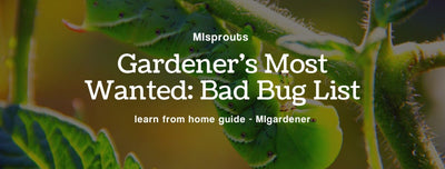 Bad Bug List: Gardener's Most Wanted
