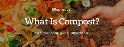 MIsprouts Learn: What is Compost?