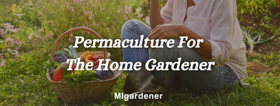 4 Ways To Apply Permaculture Principals To A Home Garden