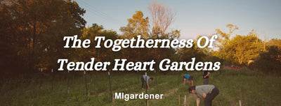 Tender Heart Gardens Practices Togetherness In Lansing, Michigan