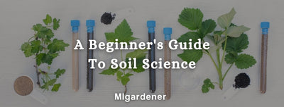 An Beginner's In-Depth Intro To Soil Science