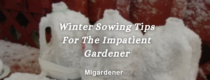 Winter Sowing Tips For The Impatient Gardener – MIgardener