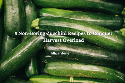 5 Non-Boring Zucchini Recipes To Conquer Harvest Overload